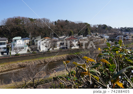 2月　世田谷593野川と国分寺崖線(区立成城みつ池緑地方面) 74288405
