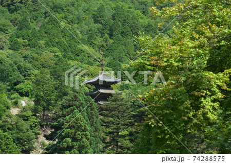 《岡山県》大瀧山福生寺三重塔の風景、6月の晴れの日 74288575