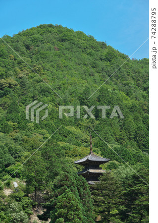 《岡山県》大瀧山福生寺三重塔の風景、6月の晴れの日 74288795