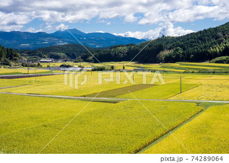 霧島連山をバックに秋の田園地帯 霧島連山をバックに秋の田園地帯 74289064