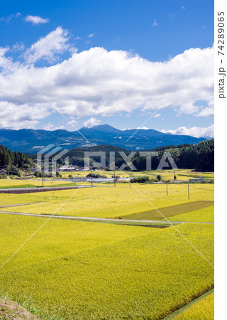 霧島連山をバックに秋の田園地帯 74289065