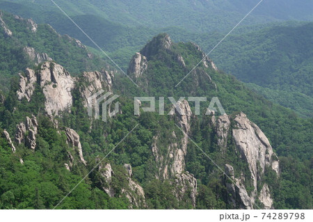 国立公園 江原道 麟蹄郡 74289798