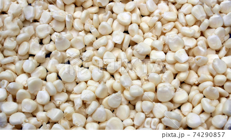 corn 74290857