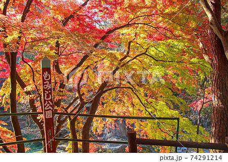 諏訪峡 もみじ公園 遊歩道より 利根川 秋の景色 みなかみ町 の写真素材