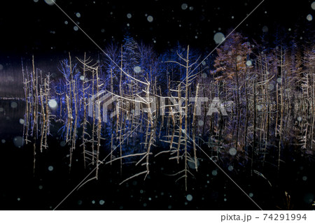 青い池ライトアップ 青い池ライトアップ 74291994