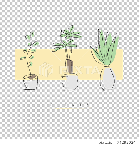 手描きの観葉植物のイラスト素材のイラスト素材