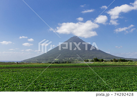 さつま芋畑の彼方にそびえる開聞岳（薩摩富士） 74292428