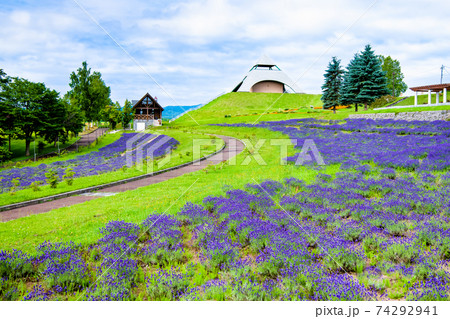 北海道美瑛町 北西の丘展望公園 74292941