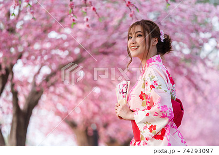 woman in yukata (kimono dress) holding folding fan and looking sakura flower or cherry blossom blooming in garden 74293097