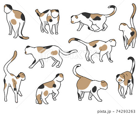 おさんぽ猫 たれ耳 三毛猫セットのイラスト素材 [74293263] - PIXTA