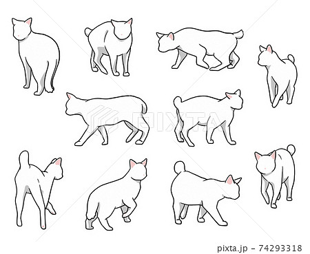 おさんぽ猫　ボブテイル　白猫セット 74293318