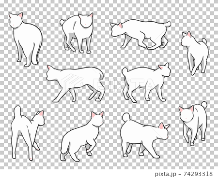 おさんぽ猫　ボブテイル　白猫セット 74293318