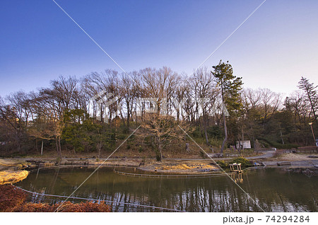 桜台公園　冬　横浜市青葉区 74294284