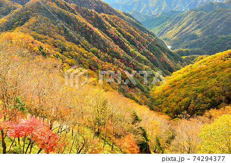 半月山駐車場よりの紅葉　眺望（日光市） 74294377