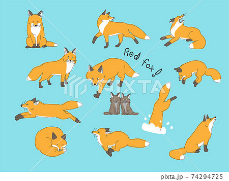 キタキツネの色々なポーズ 74294725