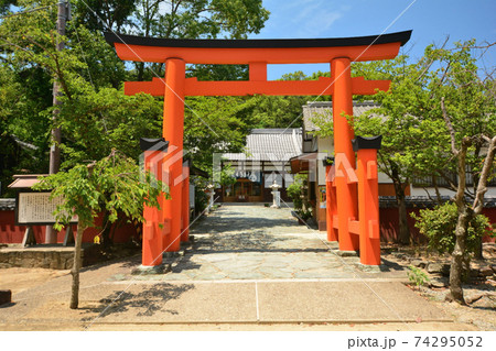 玉津島神社 大鳥居と拝殿 (和歌山市) 玉津島神社 大鳥居と拝殿 (和歌山市) 74295052