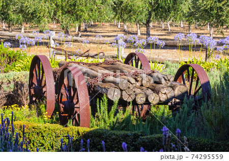 Logs and rusty wheels - Eagle Bay 74295559