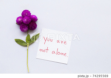 you are not alone message card handwriting with purple flower globe amaranth you are not alone message card handwriting with purple flower globe amaranth 74295569