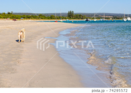 Stroll on the beach - Dunsborough 74295572