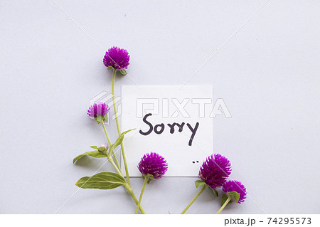 sorry message card handwriting with purple flower globe amaranth 74295573