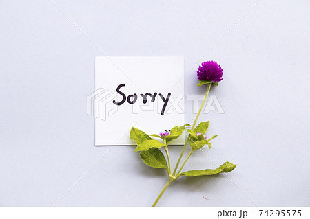 sorry message card handwriting with purple flower globe amaranth 74295575