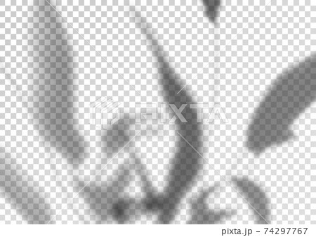 The transparent shadow overlay effect from foliage 74297767