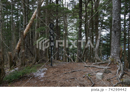 静岡県 前黒法師山 山頂の標識 静岡県 前黒法師山 山頂の標識 74299442