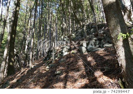 静岡県 前黒法師山 湯山集落跡の石垣 静岡県 前黒法師山 湯山集落跡の石垣 74299447