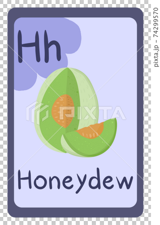 Abc food education flash card, Letter H - honeydew melon. 74299570