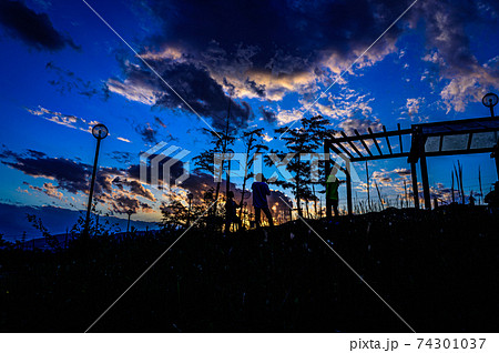 夕焼けの高台とシルエット 宝塚北公園の風景から 11月3日 日本の写真素材