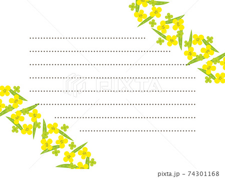 黄色い菜の花のお手紙フレームのイラスト素材