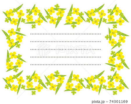 黄色い菜の花のお手紙フレームのイラスト素材 黄色い菜の花のお手紙フレームのイラスト素材