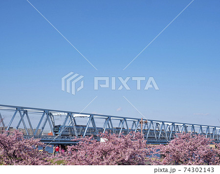第二江戸川橋梁と河津桜 第二江戸川橋梁と河津桜 74302143
