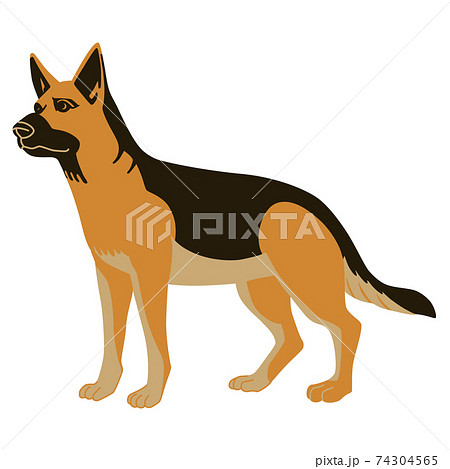 遠くを見つめて立つジャーマンシェパードのイラスト素材