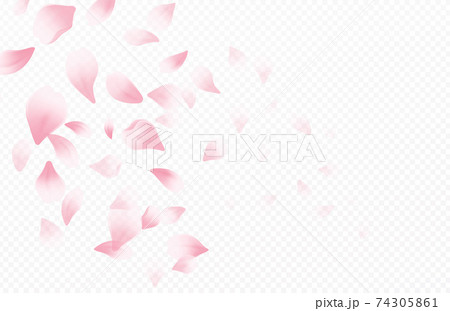 Spring time beautiful background with spring blooming cherry blossoms. Sakura flying petals isolated on white background. Vector illustration Spring time beautiful background with spring blooming cherry blossoms. Sakura flying petals isolated on white background. Vector illustration 74305861