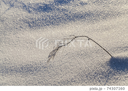 winter cold weather after the snowfall 74307160