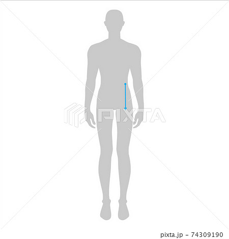 Men measurements fashion. 74309190