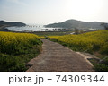倍 清算 菜の花 74309344