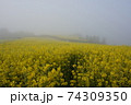 倍 霧 清算 74309350
