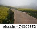 倍 霧 清算 74309352