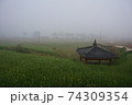 倍 清算 菜の花 74309354