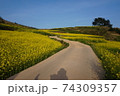 春 倍 清算 74309357