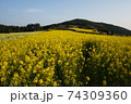 春 風景 霧 74309360