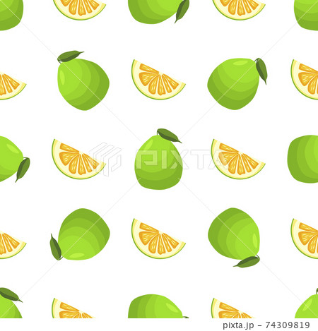 Illustration on theme big colored seamless pomelo 74309819