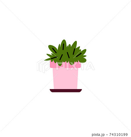 Cartoon icon of house plant in ceramic pot, cartoon vector illustration isolated. Cartoon icon of house plant in ceramic pot, cartoon vector illustration isolated. 74310199