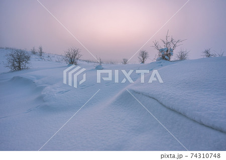 Winter landscape with fog. Warm cold sunrise landscape Winter landscape with fog. Warm cold sunrise landscape 74310748