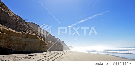 La Jolla Early morning 74311117