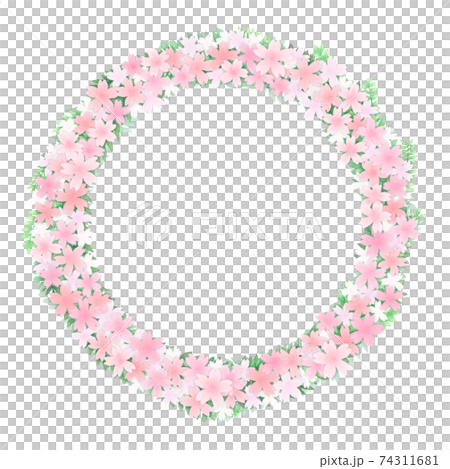 Pink cherry blossom frame in full bloom 74311681