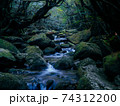 屋久島の川 74312200