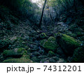 屋久島の風景 74312201